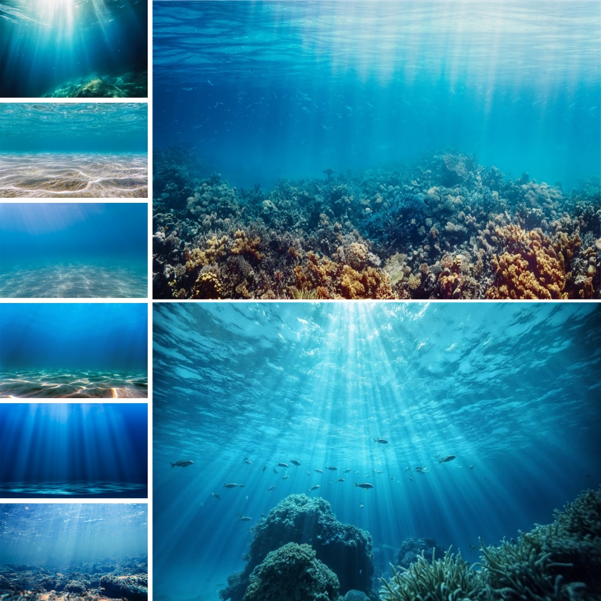 Blue Underwater World Backdrop - Photo Develop Tank review and price